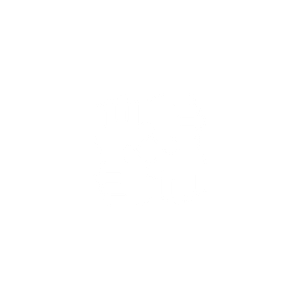 diversity and inclusivity